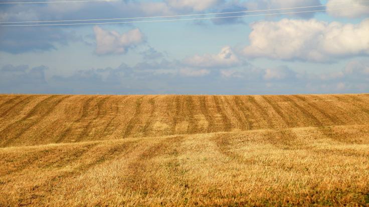 Kraj Vysočina a okolí: Pronajměte svoji zemědělskou půdu, výhodné nabídky pachtu