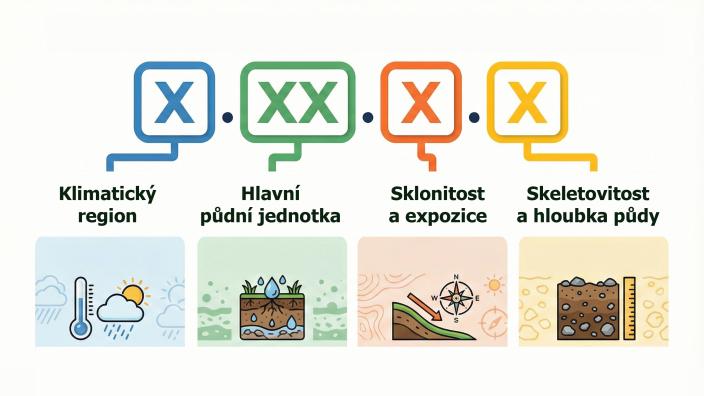 Bonita půdy BPEJ: vysvětlení tříd