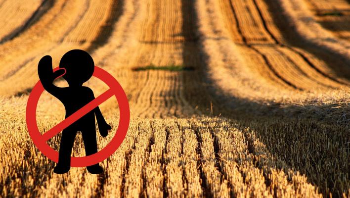 Neoprávněné užívání půdy bez pachtovní smlouvy: Jak postupovat