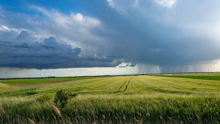 Jak pachtovat zemědělskou půdu ve spoluvlastnictví